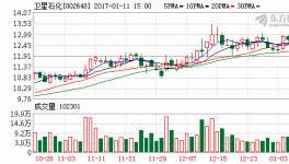 衛星石化發布上修2016年業績預告