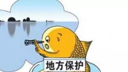 “地方保護(hù)”何時休!