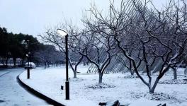 緊急:大雪封路！多省物流放假停運！