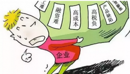 化工老板含淚訴說一路創業史，不敢放棄，都是因為輸不起