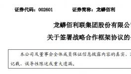 再投20億！龍蟒佰聯(lián)又一鈦白粉項(xiàng)目即將落地