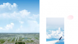 “神鳥”展翅！這家粉末涂料企業助力機場“騰飛”！