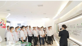 三棵樹健康膠2022新品戰(zhàn)略發(fā)布會盛大召開，逐夢新品重磅亮