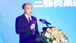 實(shí)至名歸！三棵樹(shù)涂料再獲兩項(xiàng)榮譽(yù)！