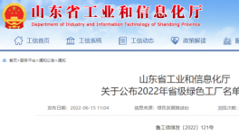 工信部門點贊！水漆領軍者再獲殊榮！