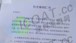 “炸鍋”！大量企業“破防”！多行業傳“噩耗