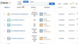 女富豪8.5億收購涂料原料龍頭！“90后”掌門無班可接？