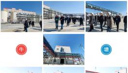 又一里程碑！牛塘化工10000噸TGIC項目投產！