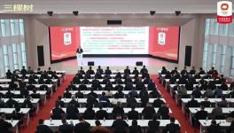 順勢，共贏，樹未來｜三棵樹2024年合作伙伴峰會隆重舉辦