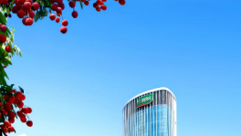 研發(fā)能力驚人！三棵樹平均每天研發(fā)13支產(chǎn)品！