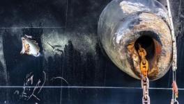 海運火爆！38年防腐涂料“小巨人”為你護航！