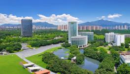 三棵樹一舉斬獲四項中國涂料工業單項冠軍