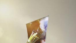 中國品牌實力！三棵樹獲“2024國民品牌優(yōu)秀案例”