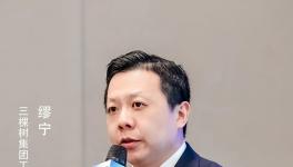 對話三棵樹：涂料龍頭的儲能新賽道