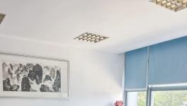 攜手共促發(fā)展！揚(yáng)子新材攻克多行業(yè)技術(shù)與工藝難題！