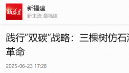 踐行“雙碳”戰(zhàn)略：三棵樹仿石漆引領建筑涂料綠色革命