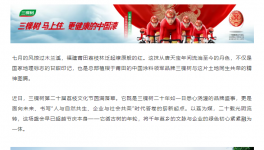 千年荔韻啟新章！三棵樹第二十屆荔枝文化節圓滿落幕        