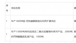 投資2900萬！替代TGIC!年產8000噸HAA固化劑項目公示！
