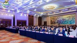 展辰新材以創(chuàng)新實力共筑行業(yè)未來